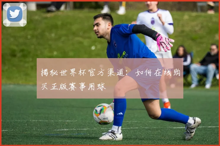 揭秘世界杯官方渠道：如何在线购买正版赛事用球