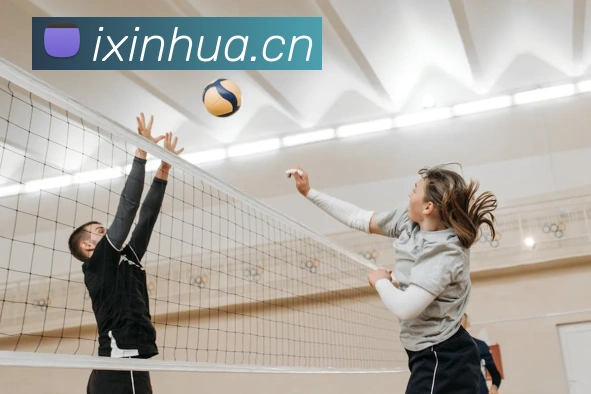 乐竞网络平台APP 封面图